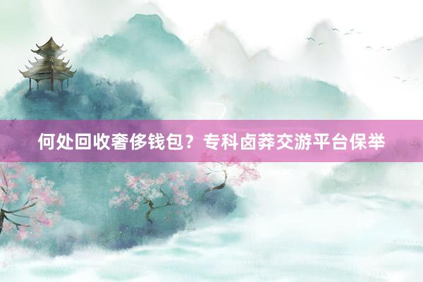何处回收奢侈钱包？专科卤莽交游平台保举